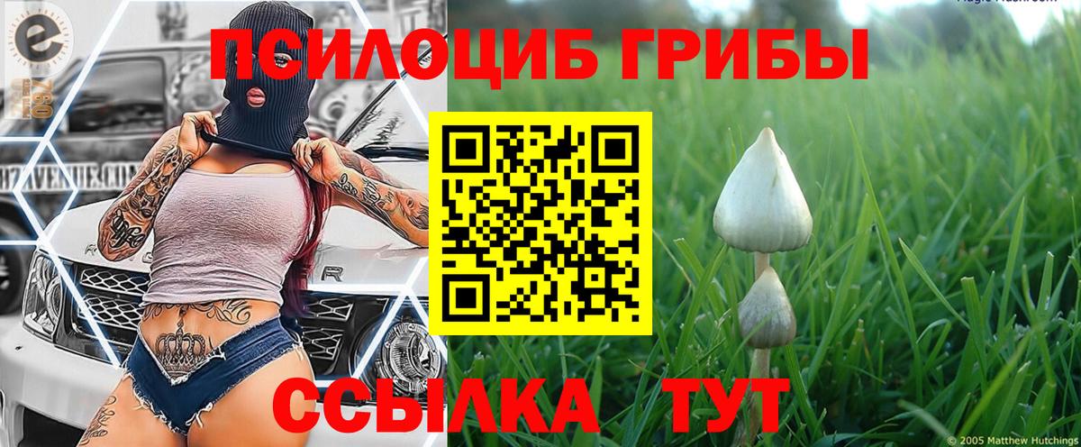 Галлюциногенные грибы GOLDEN TEACHER Минусинск