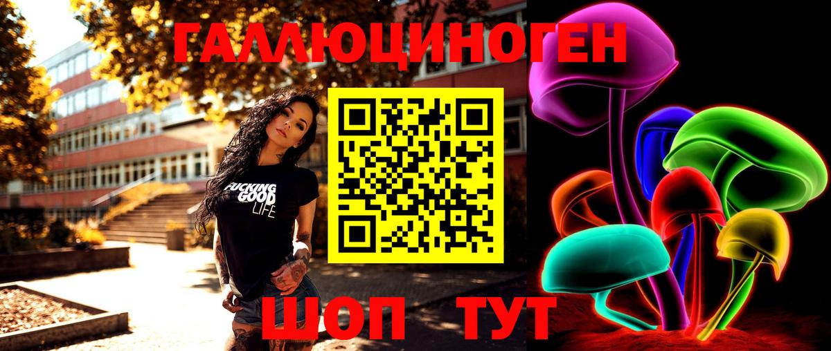 Минусинск  Псилоцибиновые грибы Psilocybe  Вход с VPN 